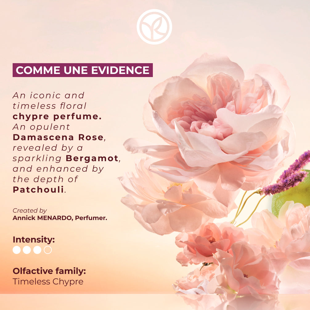 Comme Une Evidence Set