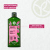Protective Shine Shampoo - Color