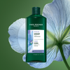Curls Defining Shampoo - Sulfate Free