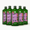 5-Pack Curls Shampoo